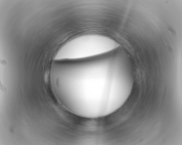 X0000091330075200708101009