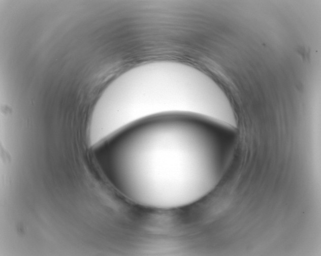 X0000091330076200708101009