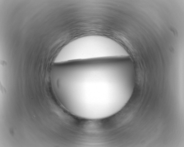 X0000091330077200708101009