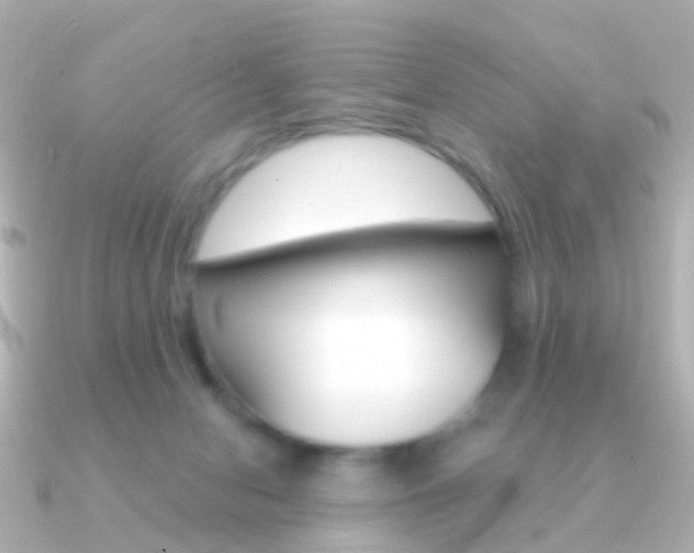 X0000091330078200708101009