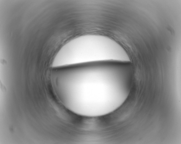 X0000091330079200708101009