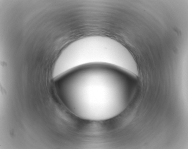 X0000091330080200708101009