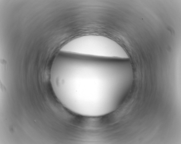 X0000091330081200708101009