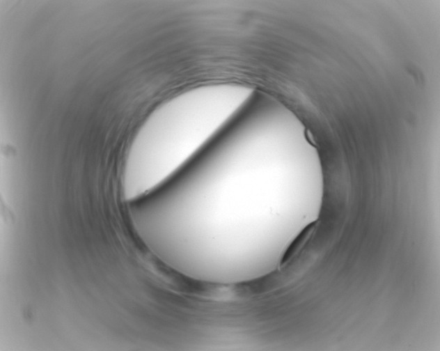 X0000091330083200708101009