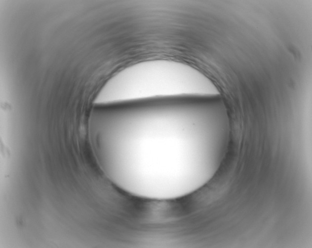 X0000091330085200708101009