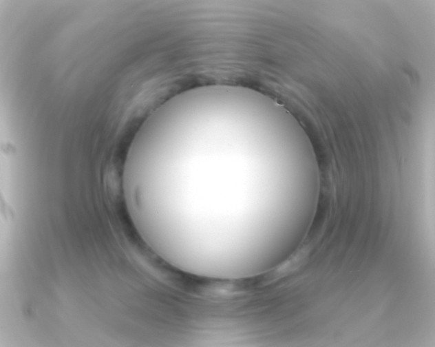 X0000091330086200708101009