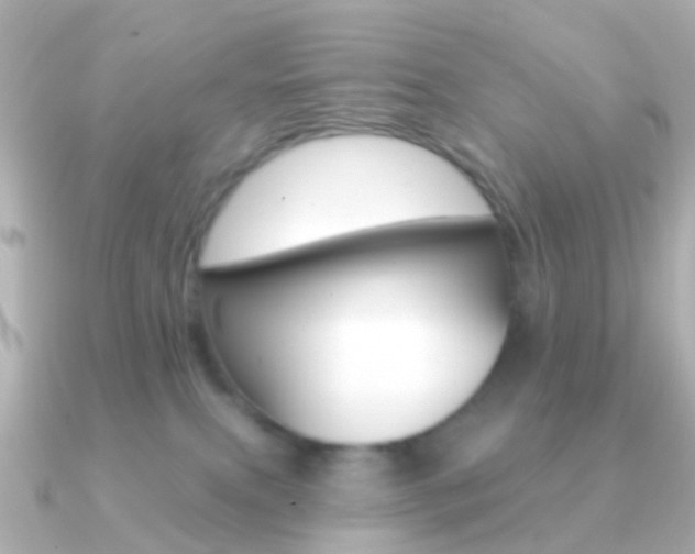 X0000091330087200708101009