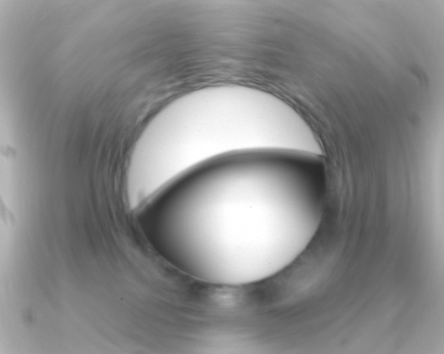 X0000091330088200708101009