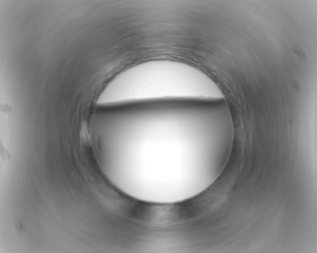 X0000091330089200708101009