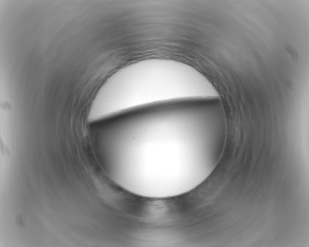 X0000091330091200708101009