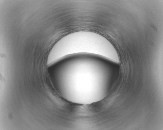 X0000091330092200708101009