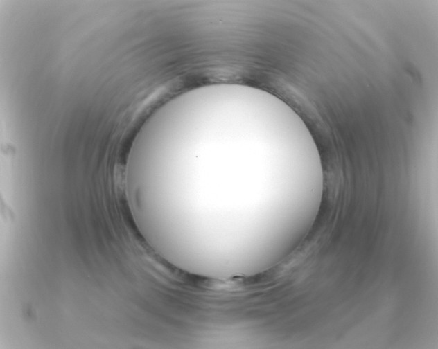 X0000091330093200708101009