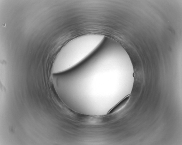 X0000091330094200708101009