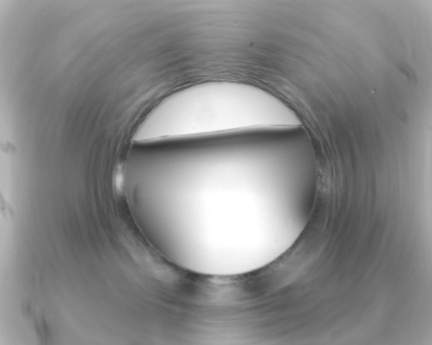 X0000091330095200708101009