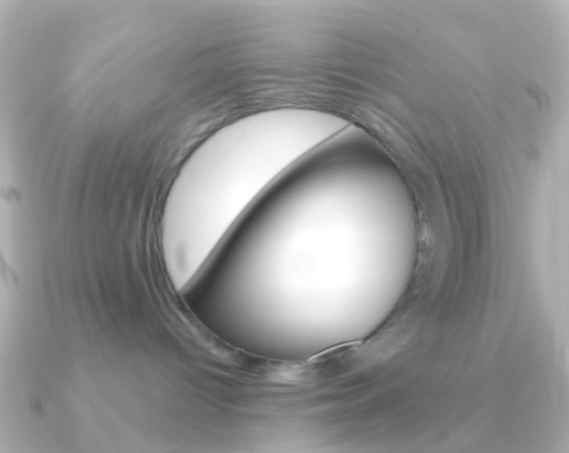 X0000091330096200708101009