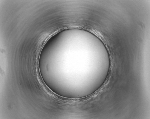 X0000091330097200708101009