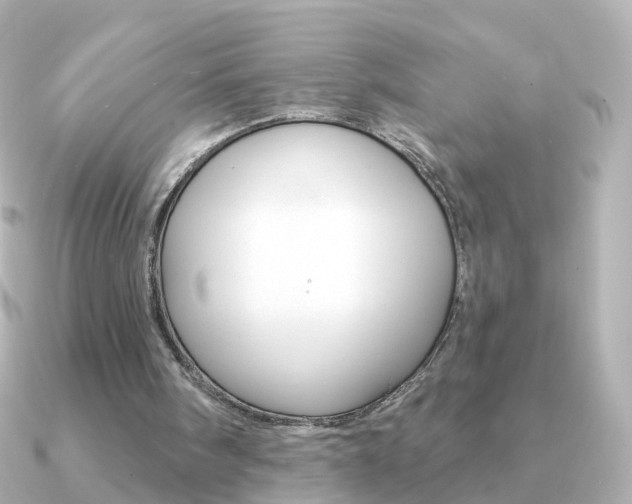 X0000091330098200708101009