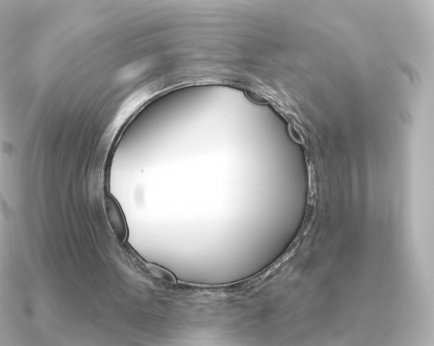 X0000091330099200708101009