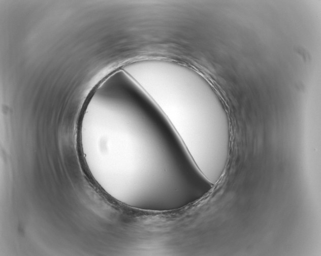 X0000091330100200708101009