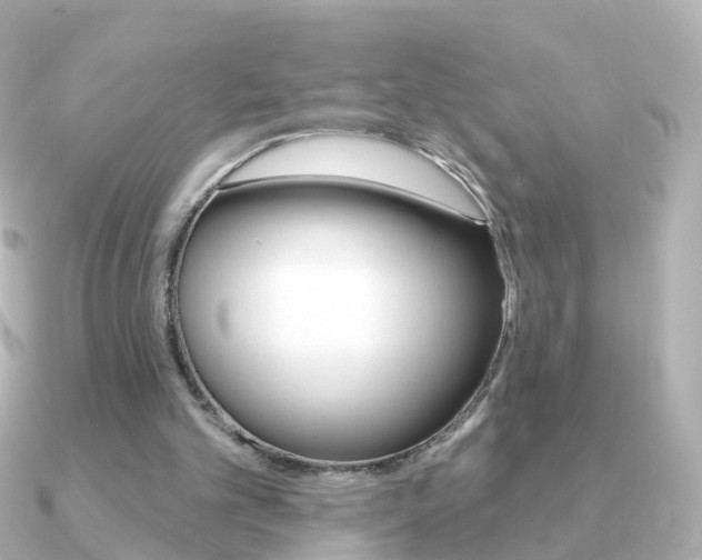 X0000091330101200708101009