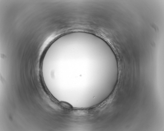 X0000091330102200708101009