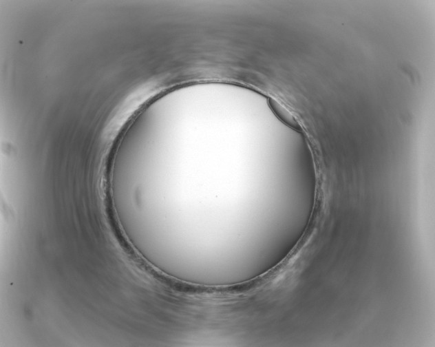 X0000091330103200708101009