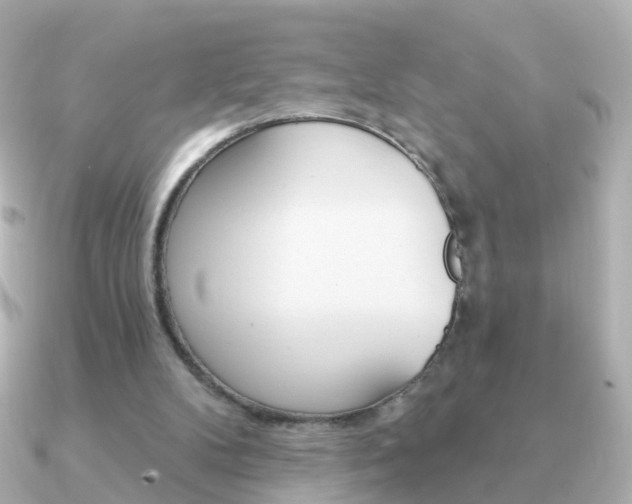 X0000091330104200708101009