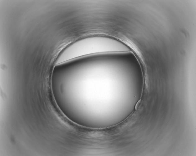 X0000091330105200708101008