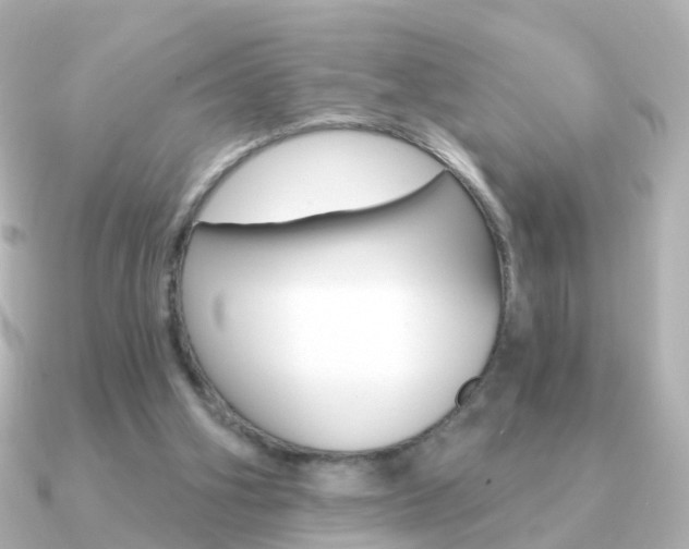 X0000091330106200708101008