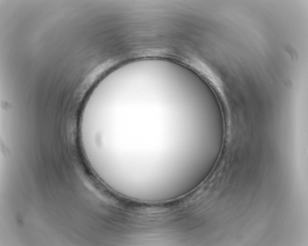 X0000091330107200708101008