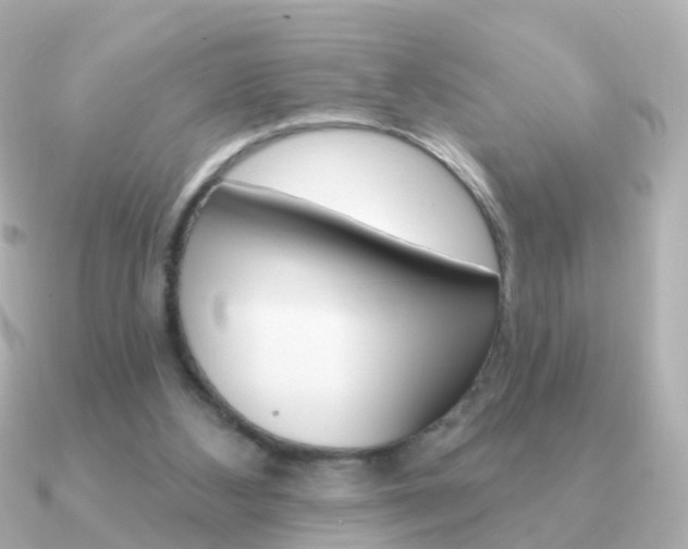 X0000091330108200708101008