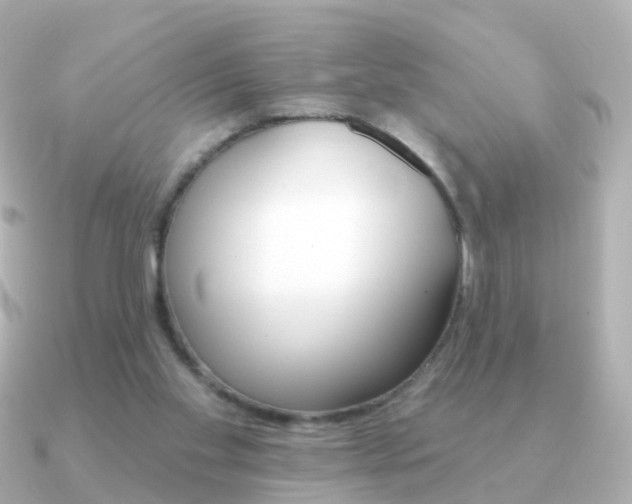 X0000091330109200708101008