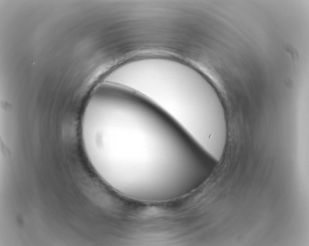 X0000091330111200708101008