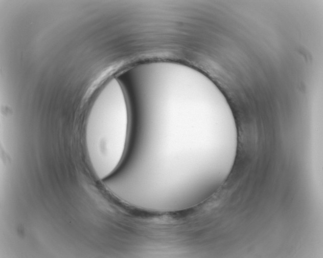 X0000091330112200708101008
