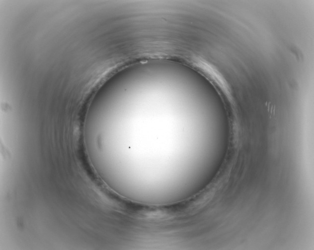 X0000091330113200708101008