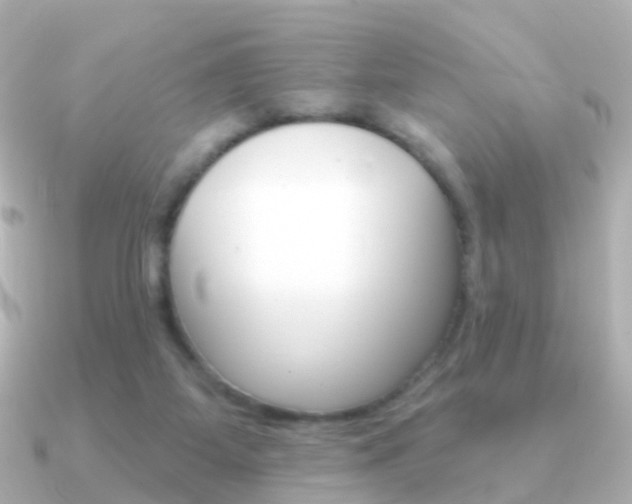 X0000091330115200708101008