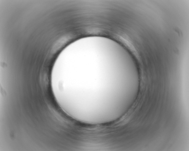 X0000091330116200708101008