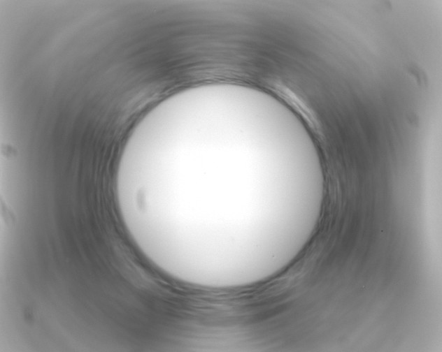 X0000091330117200708101008
