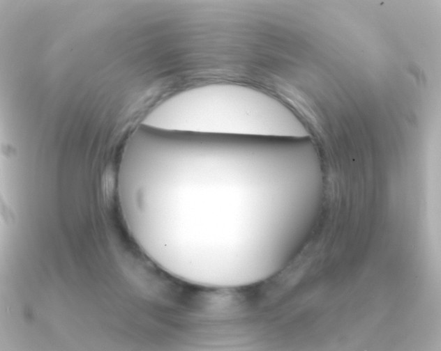 X0000091330118200708101008