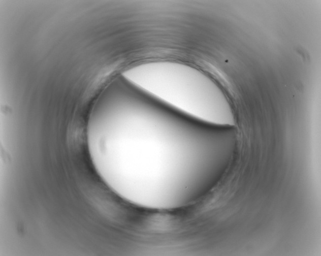 X0000091330119200708101008