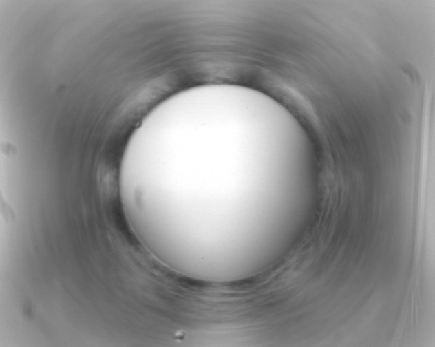 X0000091330123200708101008