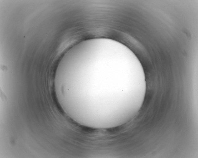 X0000091330124200708101008