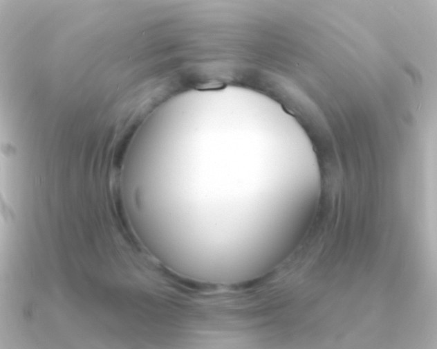 X0000091330125200708101008