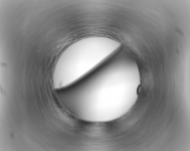X0000091330128200708101008