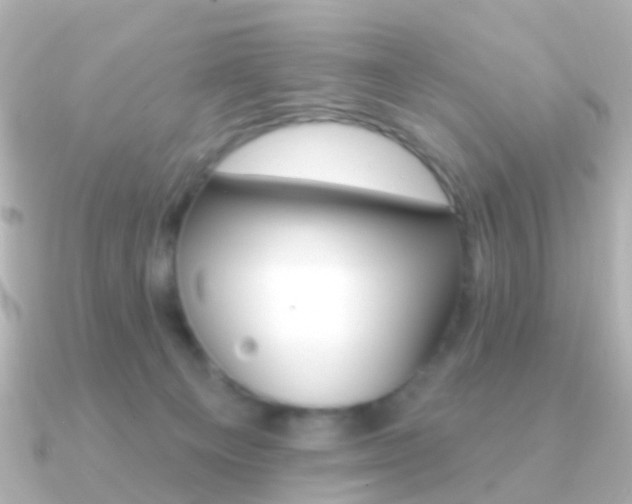 X0000091330129200708101008
