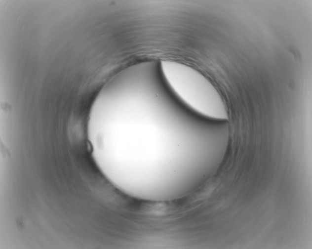 X0000091330131200708101008
