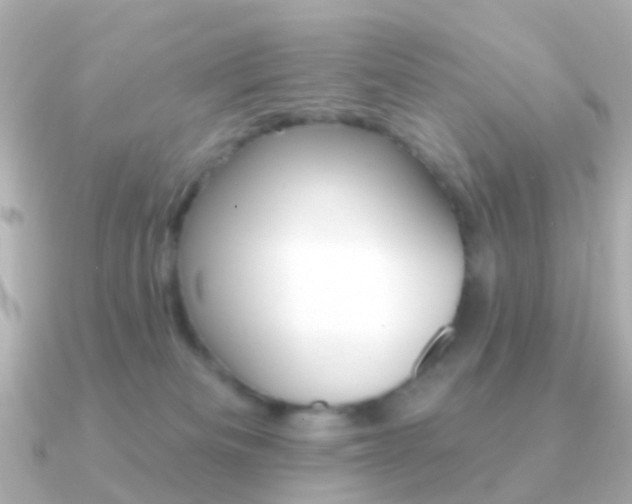 X0000091330133200708101008