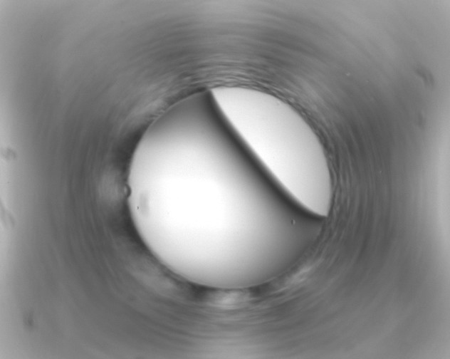 X0000091330135200708101008