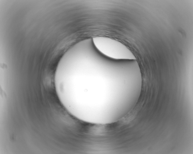 X0000091330138200708101008