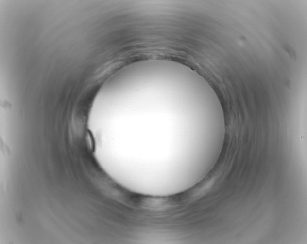 X0000091330139200708101008